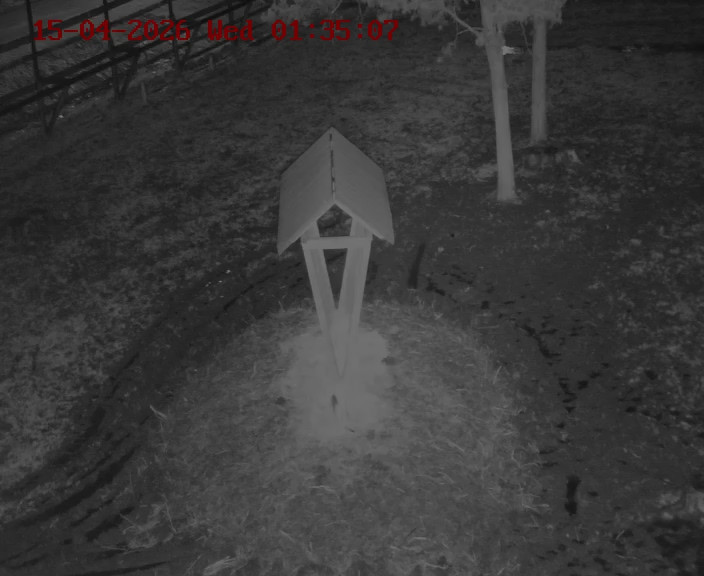 Вольер с яками