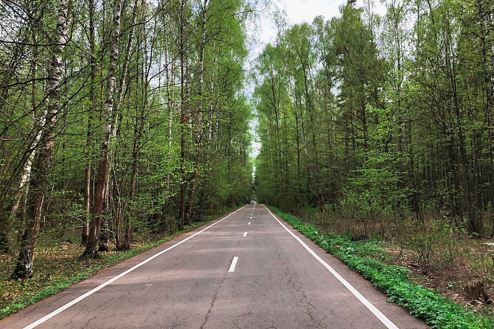 Дорога в королев через лосиный остров