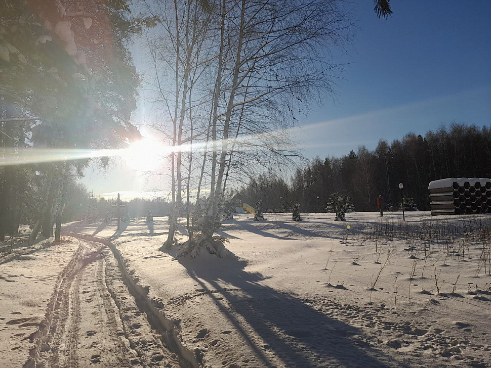 29 декабря короткий день