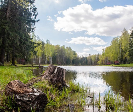 Парк два берега химки фото