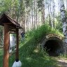Экскурсия по живой экспозиции дендрария «Леса России»​