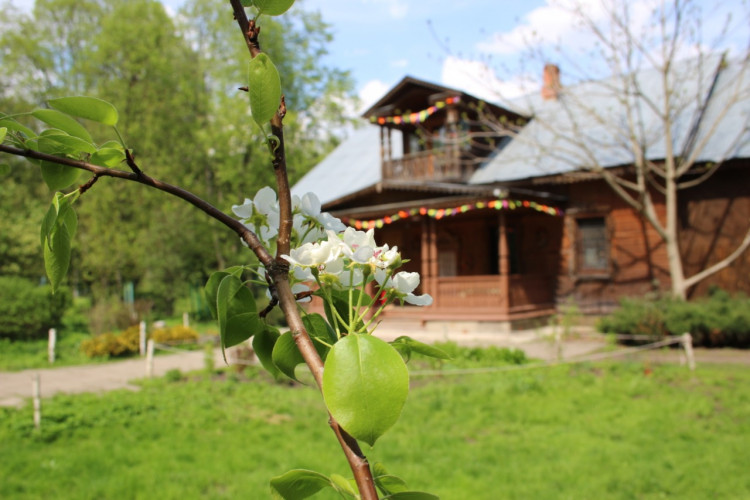 Об экоцентре "Чаепитие в Мытищах"