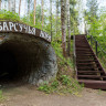 Дендрарий