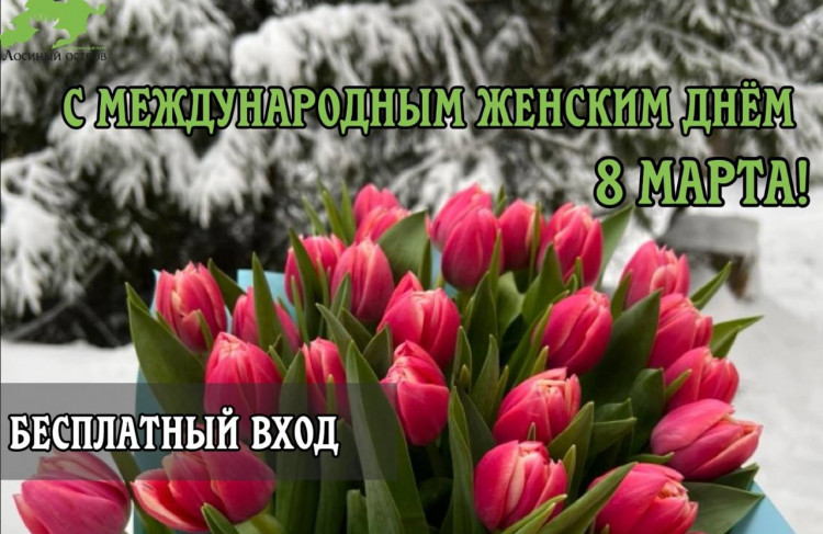 8 марта в Лосином острове