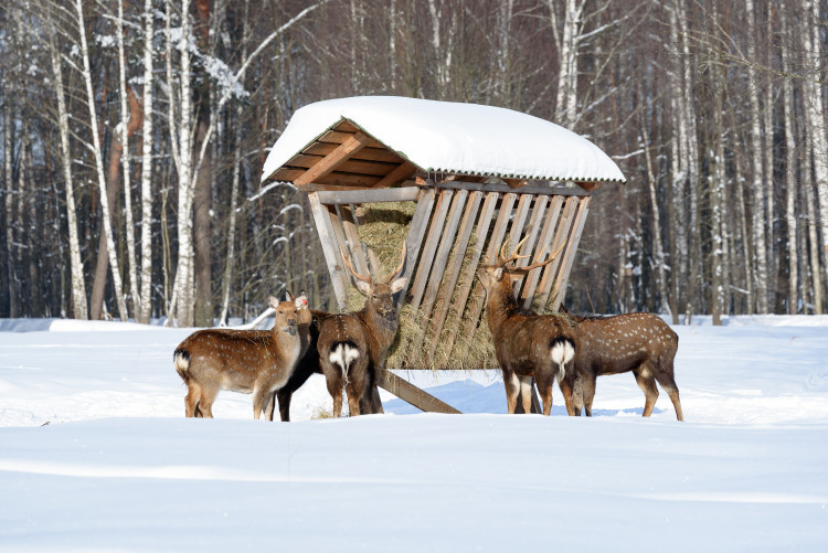 Об экокомплексе