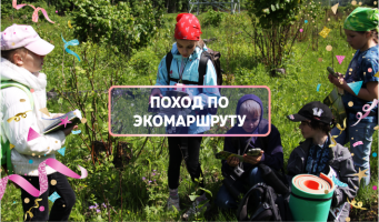 Поход по Большой Лосиной тропе (Экоцентр «Чаепитие в Мытищах»)