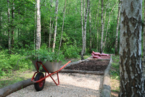 Волонтерство