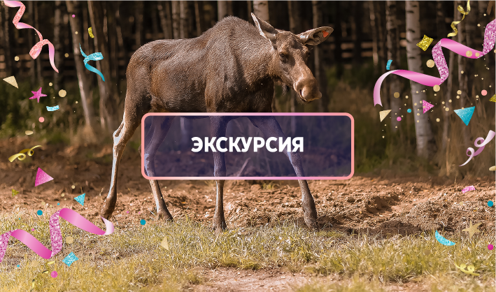 Лосиная тропа