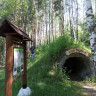 Эколого-просветительская программа «Леса России»